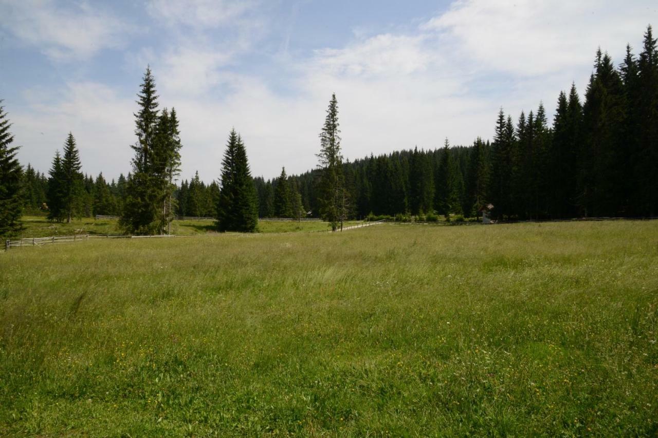 Villa Pocitniska Hisa Jurcek Pokljuka Goreljek Esterno foto
