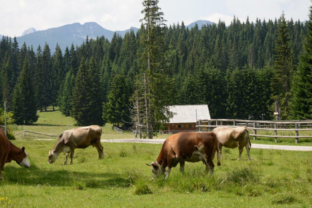 Villa Pocitniska Hisa Jurcek Pokljuka Goreljek Esterno foto